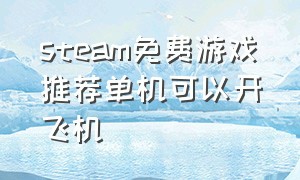 steam免费游戏推荐单机可以开飞机