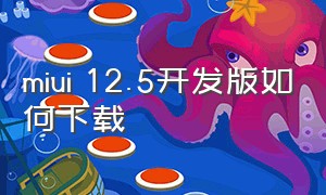 miui 12.5开发版如何下载（miui12系统开发版怎么下载）