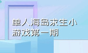 单人海岛求生小游戏第一期（双人海岛求生小游戏入口）