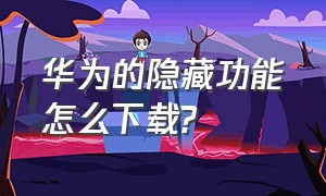 华为的隐藏功能怎么下载?