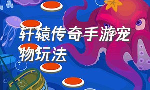 轩辕传奇手游宠物玩法（轩辕传奇手游宠物精元分解）