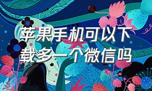 苹果手机可以下载多一个微信吗（苹果一个手机能下载2个微信吗）