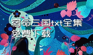 宿命三国txt全集免费下载（宿命网盘）