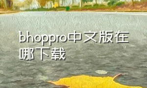 bhoppro中文版在哪下载