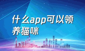 什么app可以领养猫咪（什么软件可以领养猫）