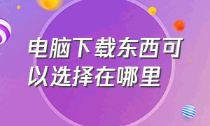 电脑下载东西可以选择在哪里（电脑下载软件放在哪个文件夹）