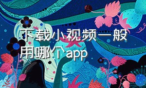 下载小视频一般用哪个app