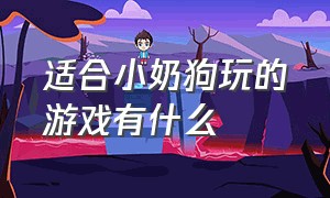 适合小奶狗玩的游戏有什么（适合在家跟小奶狗玩的游戏）