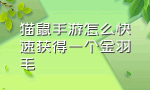 猫鼠手游怎么快速获得一个金羽毛