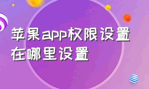 苹果app权限设置在哪里设置