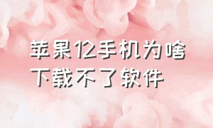 苹果12手机为啥下载不了软件