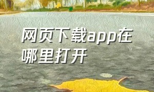 网页下载app在哪里打开