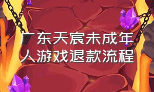 广东天宸未成年人游戏退款流程