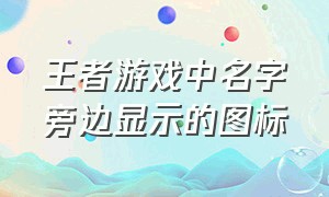 王者游戏中名字旁边显示的图标