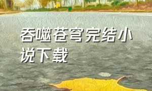 吞噬苍穹完结小说下载