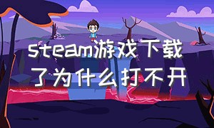 steam游戏下载了为什么打不开