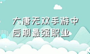 大唐无双手游中后期最强职业