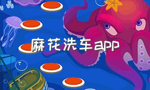 麻花洗车app