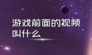 游戏前面的视频叫什么