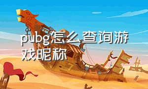 pubg怎么查询游戏昵称