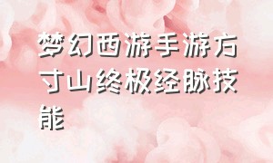 梦幻西游手游方寸山终极经脉技能（梦幻西游手游方寸山终极经脉技能加点）