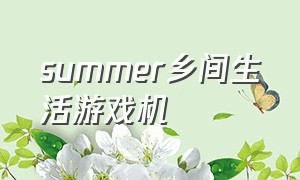 summer乡间生活游戏机