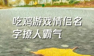 吃鸡游戏情侣名字撩人霸气