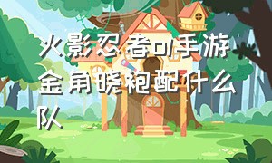 火影忍者ol手游金角晓袍配什么队