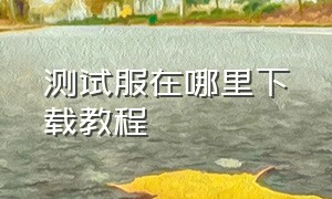 测试服在哪里下载教程