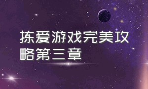 拣爱游戏完美攻略第三章