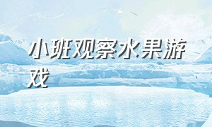 小班观察水果游戏（幼儿园小班水果游戏的玩法）