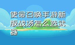 使命召唤手游新版战场怎么选武器