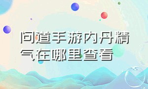 问道手游内丹精气在哪里查看