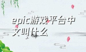 epic游戏平台中文叫什么
