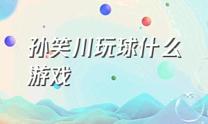 孙笑川玩球什么游戏