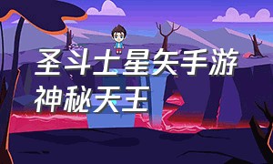 圣斗士星矢手游神秘天王