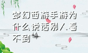 梦幻西游手游为什么说话别人看不到