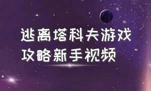 逃离塔科夫游戏攻略新手视频