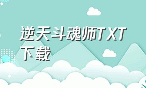 逆天斗魂师TXT下载