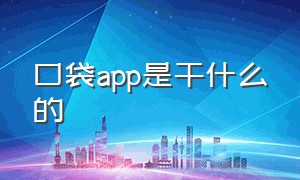 口袋app是干什么的