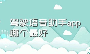 驾驶语音助手app哪个最好