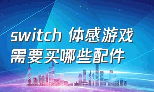 switch 体感游戏需要买哪些配件