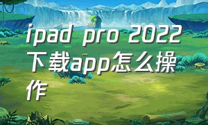 ipad pro 2022下载app怎么操作