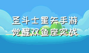 圣斗士星矢手游觉醒双鱼座实战