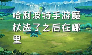 哈利波特手游魔杖选了之后在哪里（哈利波特手游中在哪里抽魔杖）