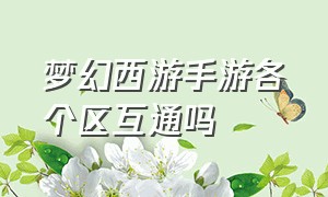 梦幻西游手游各个区互通吗