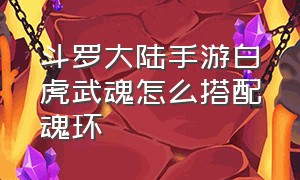 斗罗大陆手游白虎武魂怎么搭配魂环