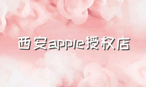 西安apple授权店