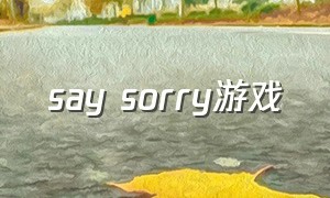 say sorry游戏