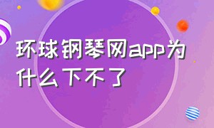 环球钢琴网app为什么下不了